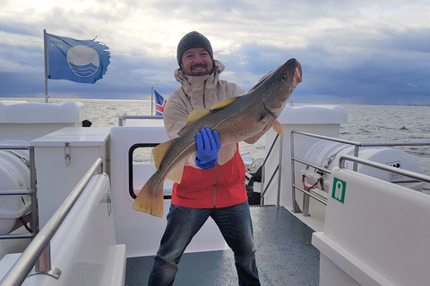 Pesca en aguas de Islandia de ReykjavikPesca de Islandia desde Reikiavik