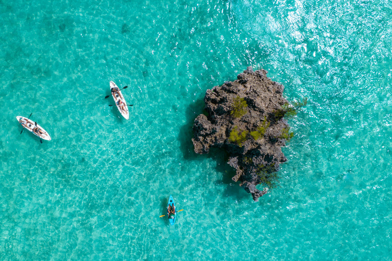 Mauritius: Geführte Kajaktour zur Insel BenitiersMauritius: Kajaktour auf der Insel Benitiers