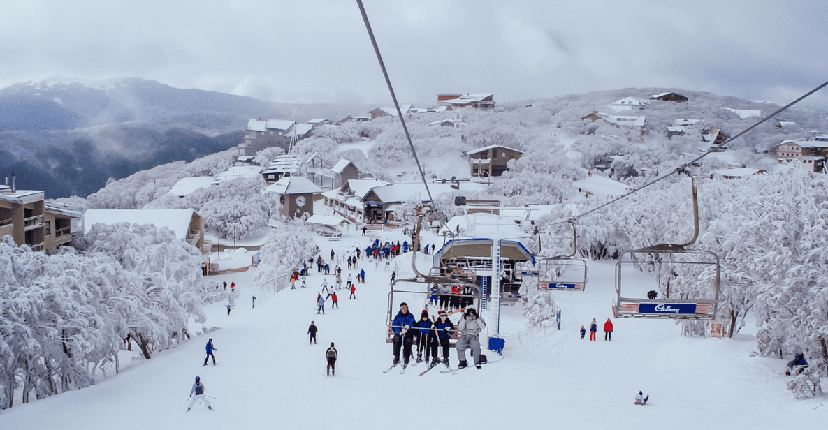 Mt Buller | One day tour | Melbourne Snow | GetYourGuide