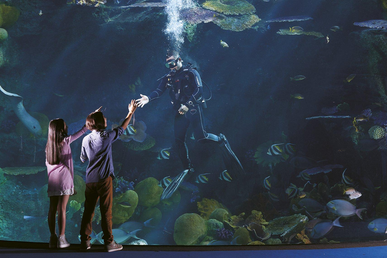 بانكوك: تذكرة دخول سي لايف بانكوك ومتحف مدام توسوتواريخ الذروة في نفس اليوم