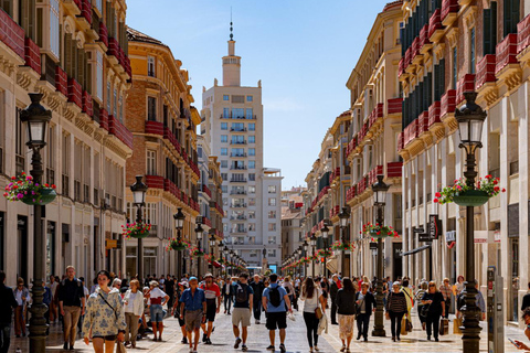 Malaga do Tangeru: ekskluzywna jednodniowa wycieczka z biletem na prom