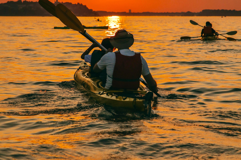 Belgrade: Sunset Kayak Tour