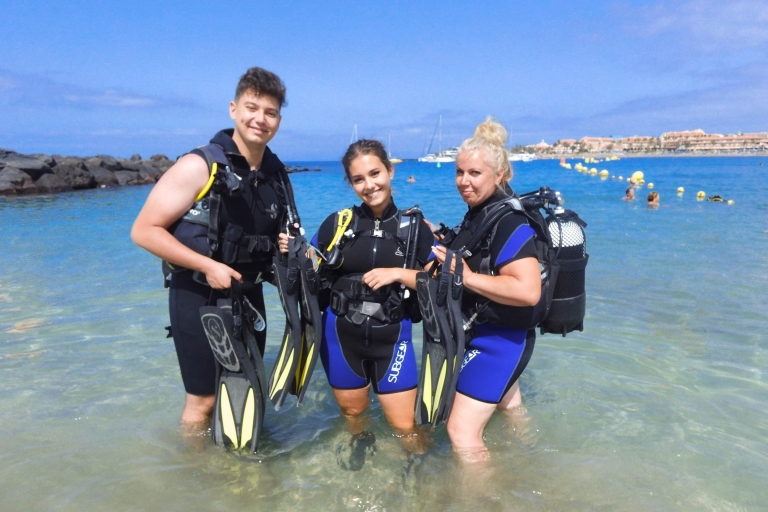 Sud de Tenerife: Expérience de plongée sous-marine pour débutants