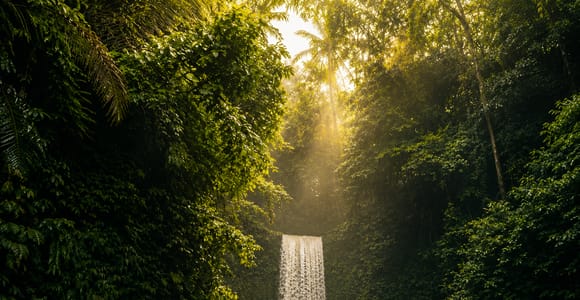 Best of Ubud: Waterfalls, Rice Terraces & Jungle Swing