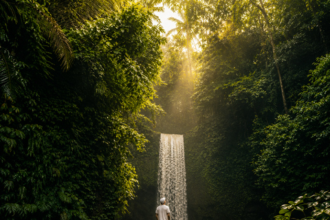 Bali: Ubud Waterfalls & Rice Terrace All Inclusive Tour Bali Private Tour All Inclusive