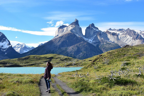 Punta Arenas: Pełny dzień Torres del Paine + Jaskinia Milodon