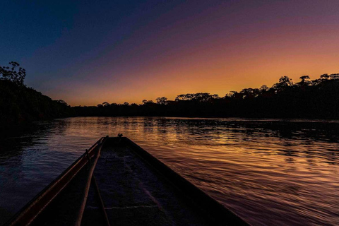 Tambopata: Zoeken naar kaaimannen in het Amazonegebied | Avondtour |