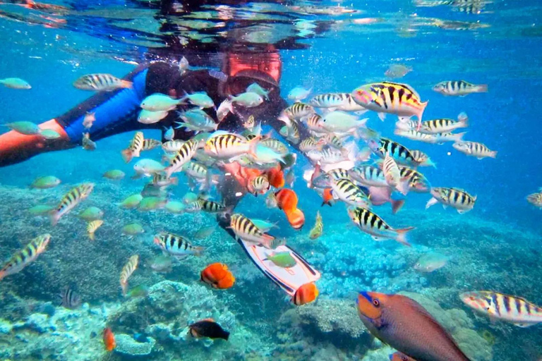 Snorkling på Bali: Snorkling vid Blå lagunen och Tanjung Jepun med lunch