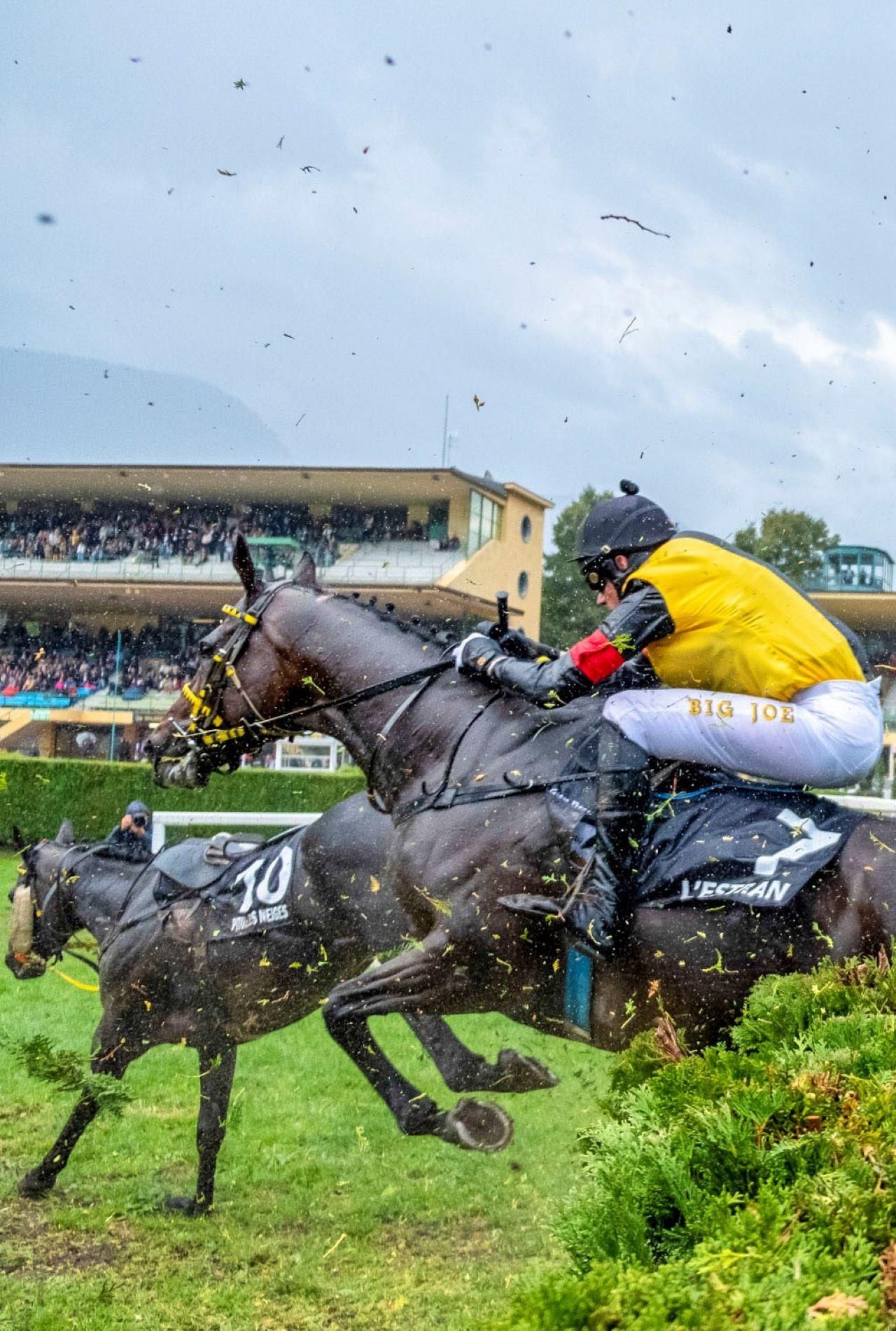 Wein & Adrenalin Meran - Heritage & Hooves