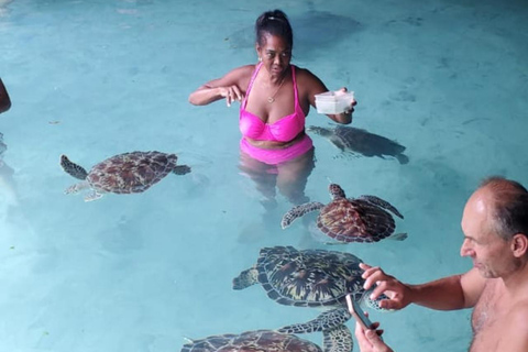 ZANZIBAR:Spice Farm,Salam Cave turtle swim & Rock Restaurant PRIVATE TOUR INCLUDES TRANSFER