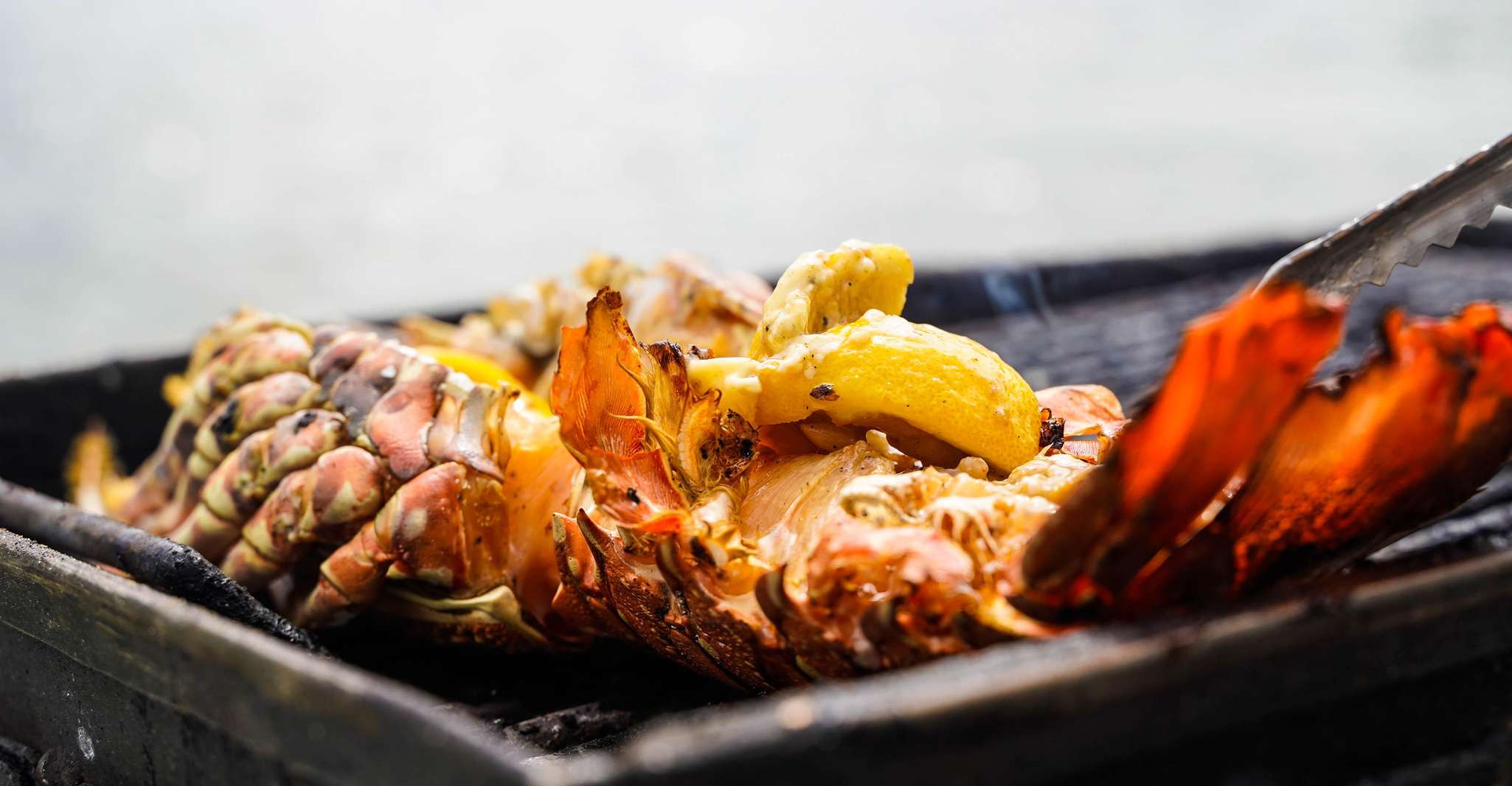 モーリシャス、カタマランクルーズからバーベキューランチとともにile aux cerfsへ - Housity