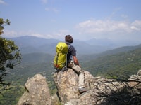 Hiking in the rainforest - Housity