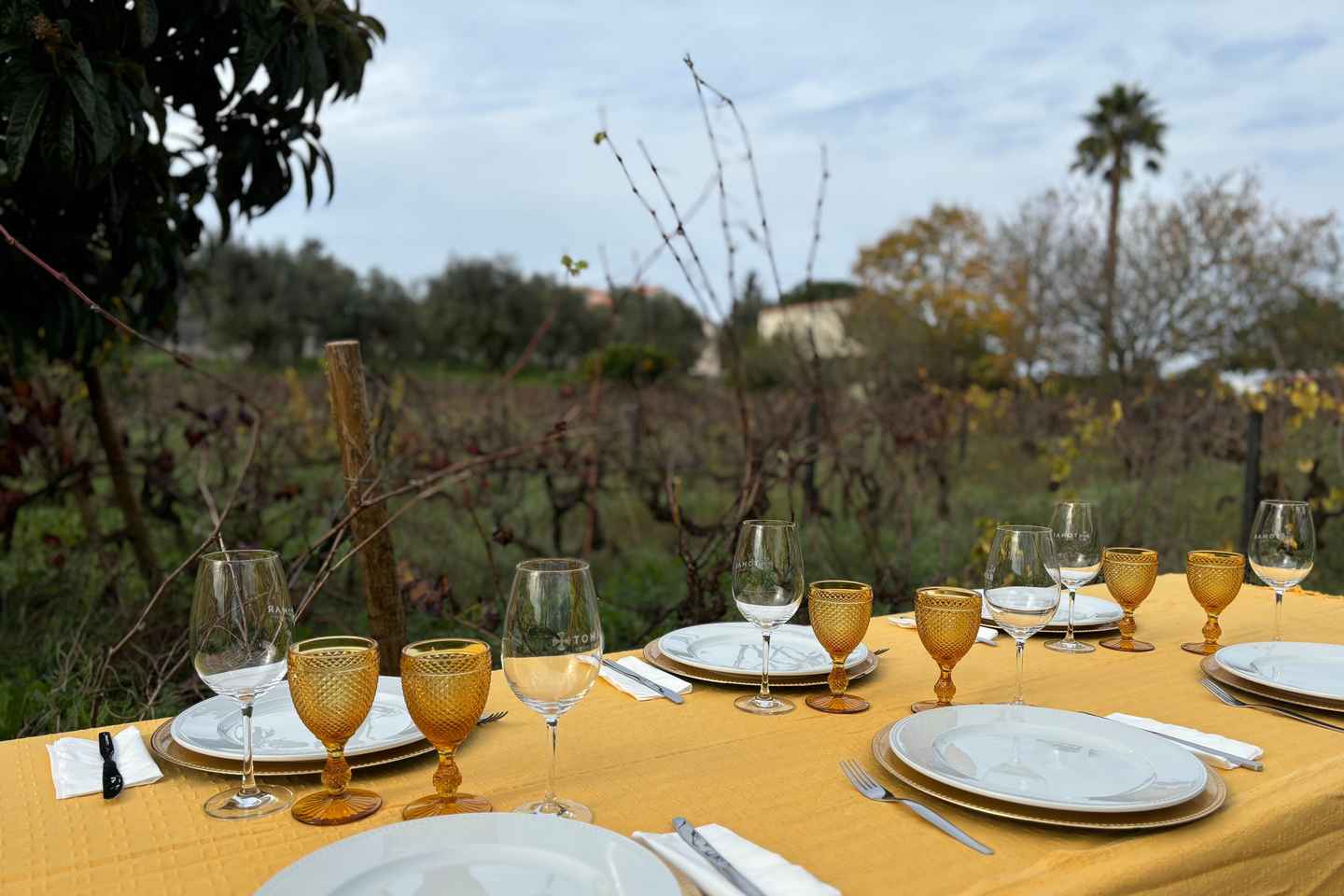 Tomar: Lunch among the vineyards