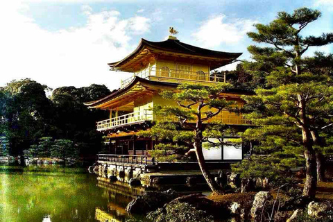 Kyoto: Private Full-Day Tour with Driver & Custom Itinerary