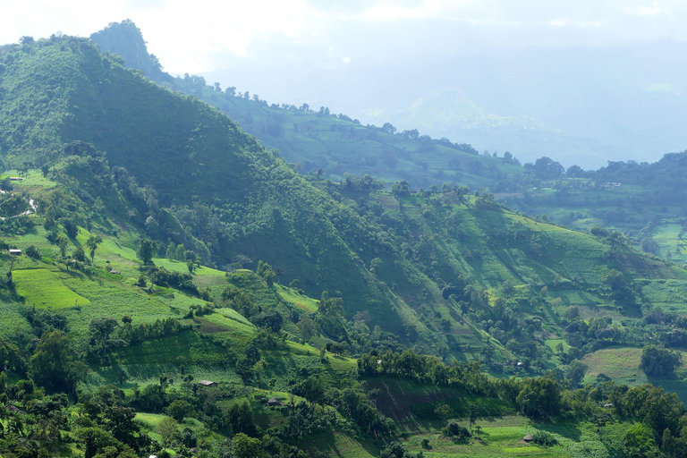 Addis Abeba - Park Narodowy Chebera Cherchura - 4 dniPrzygoda z przyrodą - Park Narodowy Chebera Cherchura 4 dni