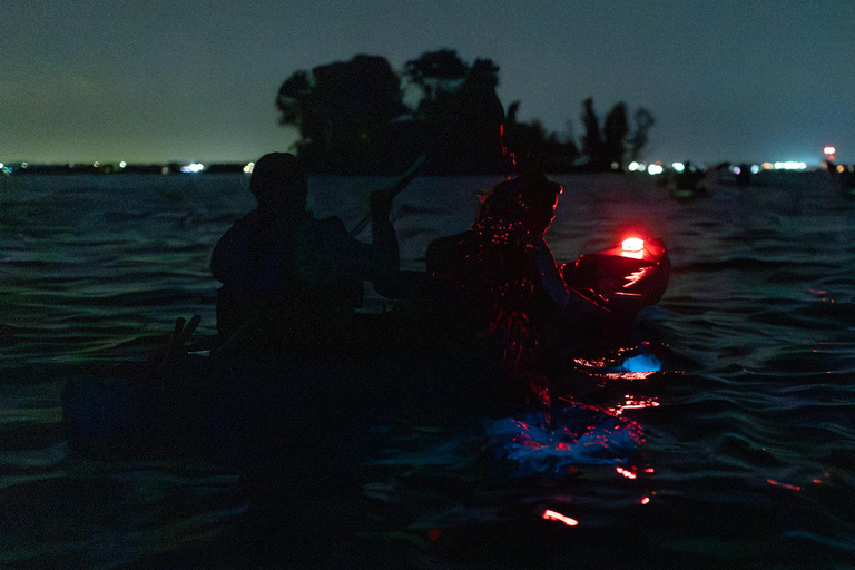 Cocoa Beach/Merritt Island:Bioluminescent kayak tour Single Kayak