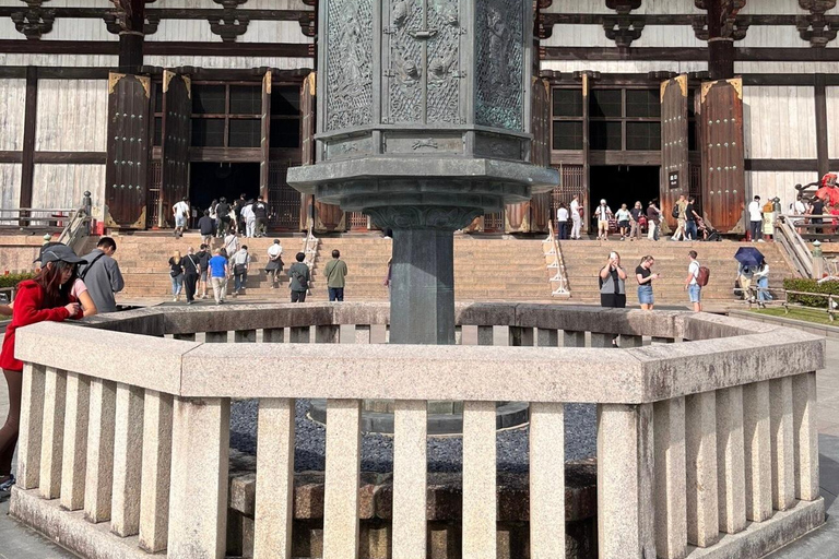 From Osaka/Kyoto: Nara One Day Private Tour