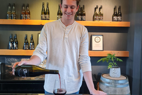 Queenstown: Premium Wine Tasting Tour