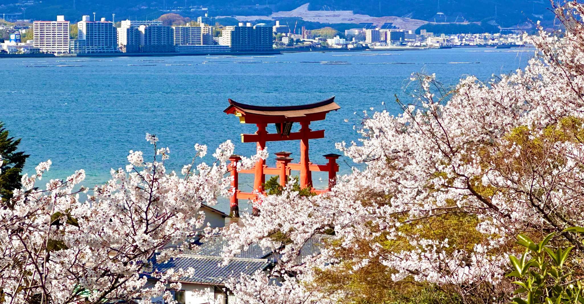 Hiroshima: Hiroshima and Miyajima UNESCO Sites 1-Day Tour photo 4