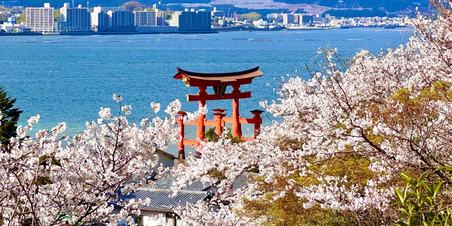 Hiroshima Miyajima tour — Peace Memorial and Miyajima Island — image 3