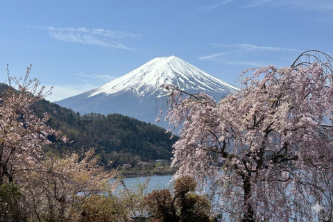 From Tokyo: Private Mt. Fuji SNS Photo Tour by Luxury Car