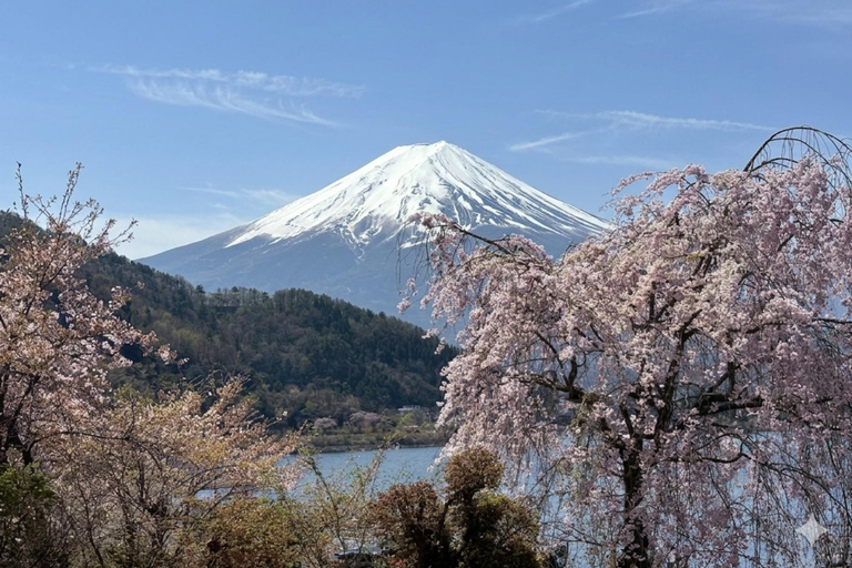 From Tokyo: Private Mt. Fuji SNS Photo Tour by Luxury Car