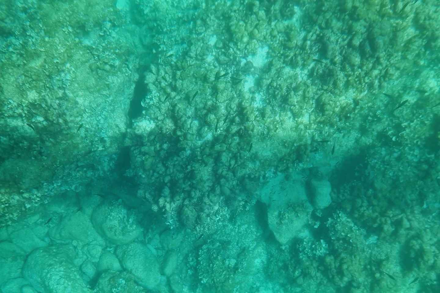 Siracusa: Tour Privato in Barca Trasparente tra Costa e Grotte del Mare