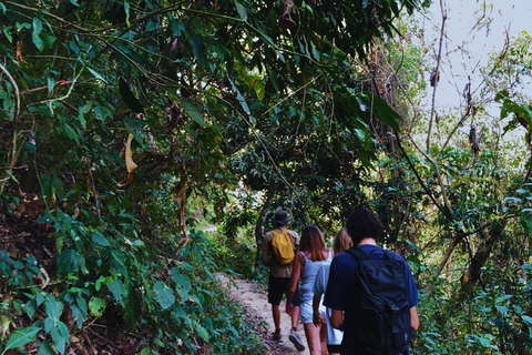 Tour de café, cacau e trekking em Minca: Natureza, cultivos e produção