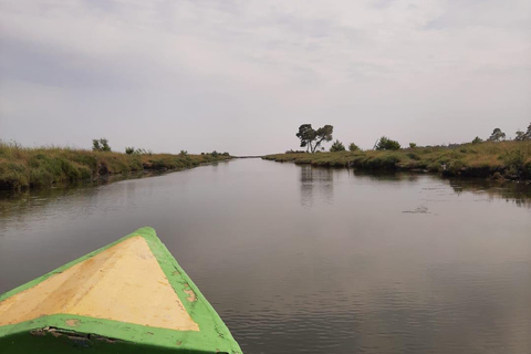 From Tirana/Durres/Golem: Karavasta Lagoon & Divjaka Tour Private Tour from Golem: Karavasta Lagoon & Divjaka Forest