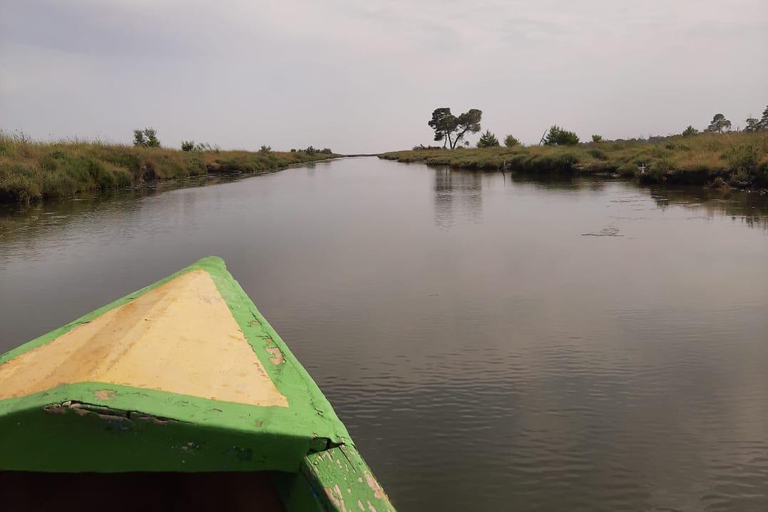 From Tirana/Durres/Golem: Karavasta Lagoon & Divjaka Tour Private Tour from Golem: Karavasta Lagoon & Divjaka Forest
