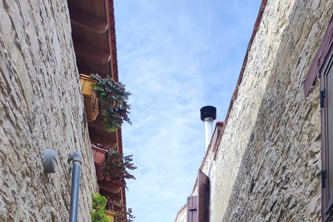 Paphos: Troodos Mountains Villages Tour with Wine Tasting