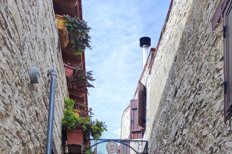 Paphos: Troodos Mountains Villages Tour with Wine Tasting