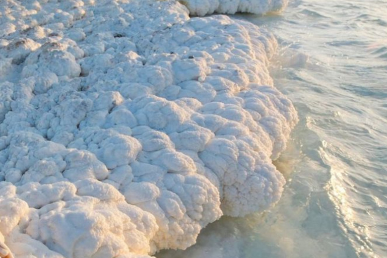 Discover Jordan from north to south on a 5-day private tour