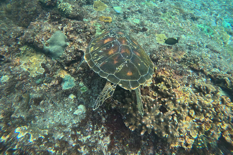 Depuis Bali : Snorkeling 3 Spots avec GoPro &amp; West Penida TourPlongée en apnée avec transfert aller-retour à Bali