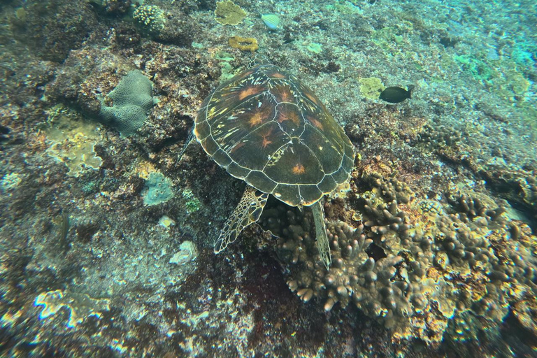 Depuis Bali : Snorkeling 3 Spots avec GoPro &amp; West Penida TourPlongée en apnée avec transfert aller-retour à Bali