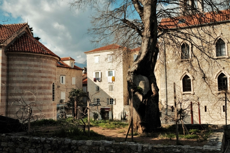 Montenegro: Dagtrip Budva, Tivat en St. Stephan