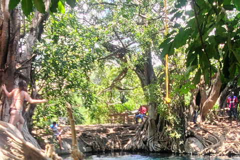 Wonderful Materuni waterfalls and Chemka hotspring Day trip