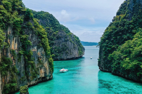 Phuket: Phi Phi, Maya, Khai oder Maiton oder Bamboo Island TourPhi Phi, Maya, Khai Island Tour mit dem Schnellboot