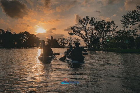 From Sigiriya: Kala Wewa Wildlife Kayaking Adventure