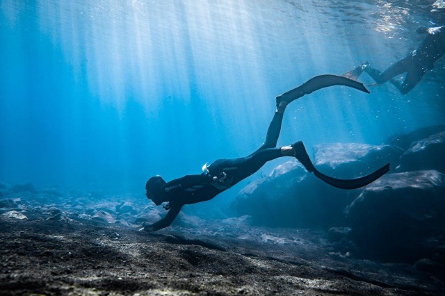 Visit Tenerife : Snorkeling underwater with freediving Instructor in Los Cristianos