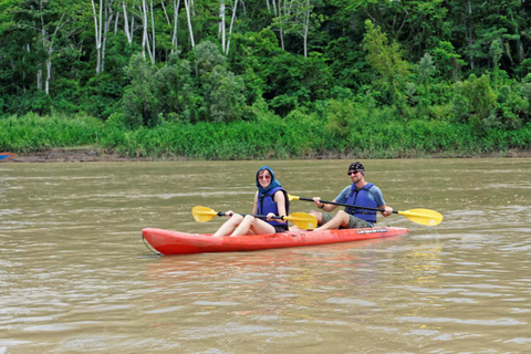 Puerto Maldonado: zjazdy na linie, canopy i spływ kajakowy z obiademPuerto Maldonado: wycieczka z lunchem, zjazdem na linie, spływem kajakowym i spacerem po koronach drzew