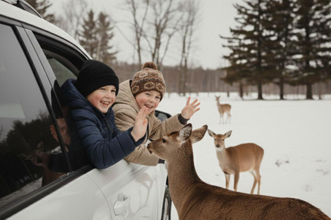 Montréal/Hemmingford : Parc Safari accès journalier