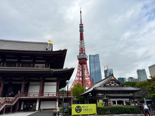 Tokyo: Private Tour to Tokyo Sacred Places and City Views