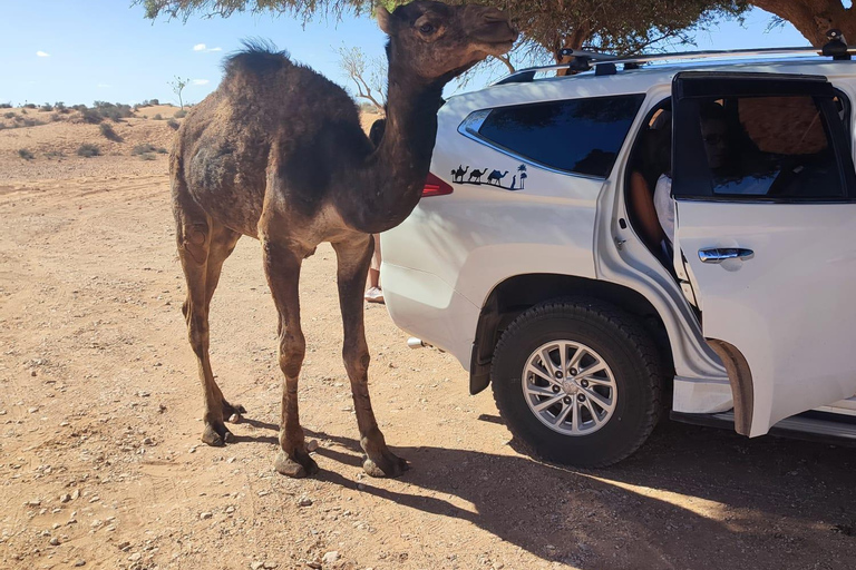 Från Agadir: Mini Sahara dagstur med lunch