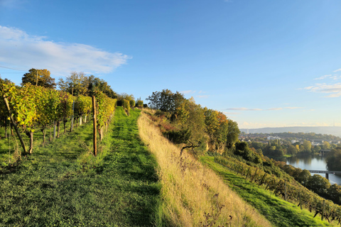 Stuttgart: Vin, Fromage et Chansons - Kaas, wijnen en liedjes uit Frankrijk