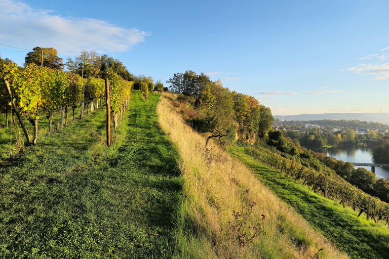 Stuttgart: Vin, Fromage et Chansons - Ost, viner och sånger från Frankrike