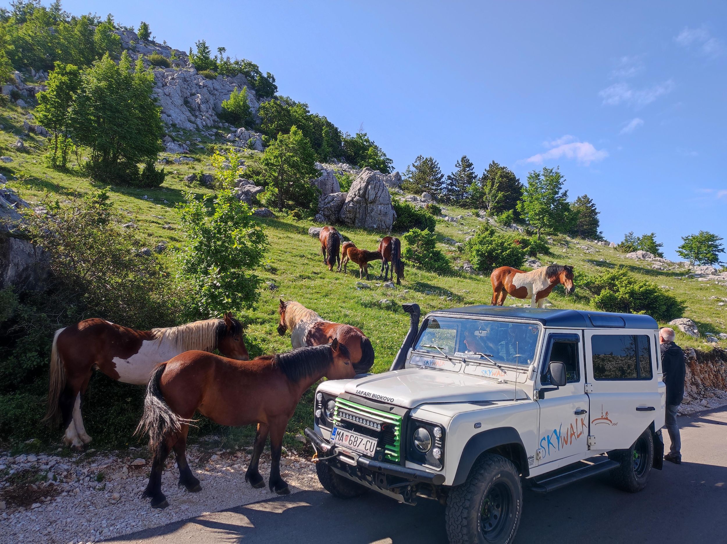 Makarska: Skywalk (1228 m) und St. Georg (1762 m) Tour