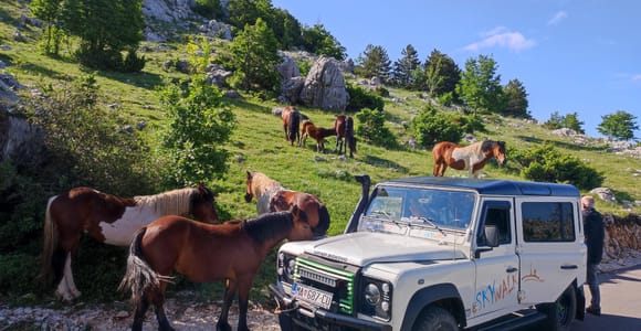 Skywalk (1228 m) und St. George (1762 m) ÖKO-TOUR