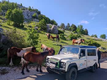 Skywalk en St. George Electric Land Rover Defender Tour