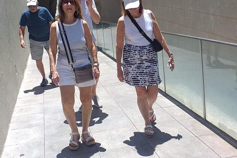 Visite à pied comme un habitant de la ville de SantiagoVisite à pied de la ville de Santiago